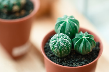 Similar image 13205170