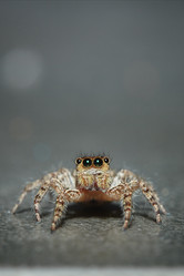 Similar image 13205211