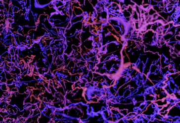 Similar image 13212738