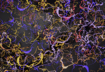 Similar image 13212783