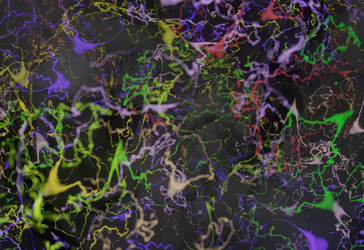 Similar image 13212551