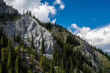 Similar image 13237482