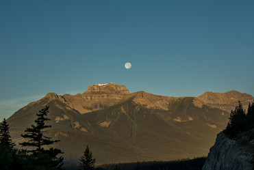 Similar image 13237492