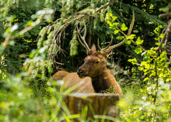 Similar image 13237494