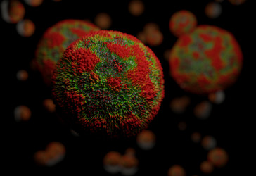 Similar image 13212634