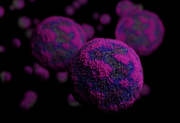 Similar image 13212741