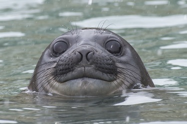 Similar image 13214366