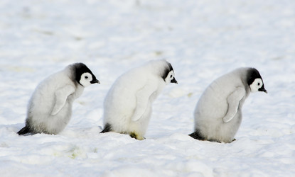 Similar image 13214426