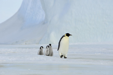 Similar image 13214706