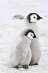 Similar image 13214148