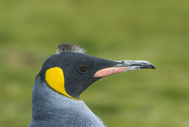 Similar image 13214307