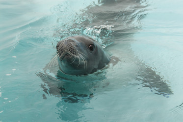 Similar image 13214468