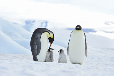 Similar image 13214687