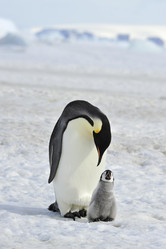 Similar image 13214153