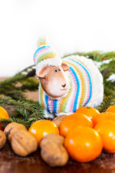 Similar image 13241982