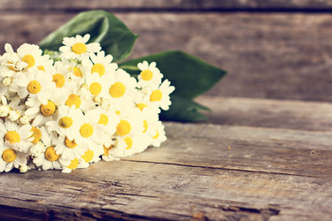 Similar image 13241782