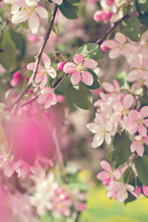 Similar image 13241783