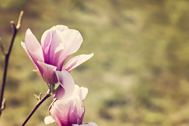 Similar image 13241785