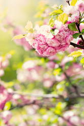 Similar image 13241786