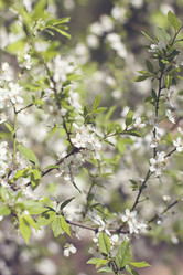 Similar image 13241787