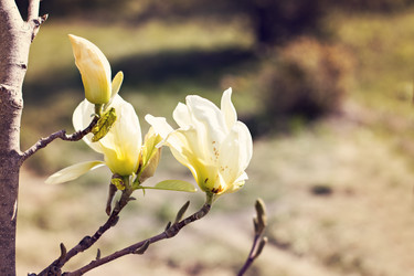 Similar image 13241788