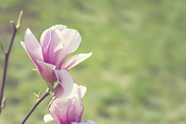 Similar image 13241789