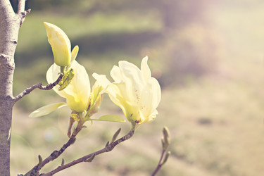 Similar image 13241803