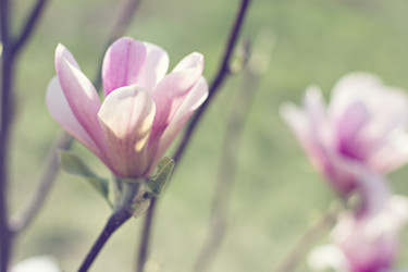 Similar image 13241804