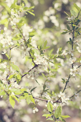 Similar image 13241805