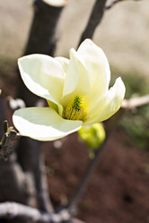 Similar image 13241947