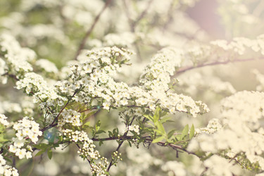 Similar image 13241948