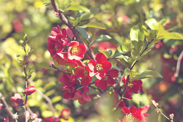 Similar image 13241949