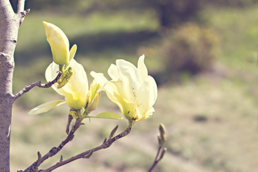 Similar image 13241950