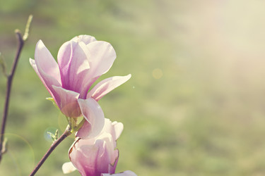 Similar image 13241951