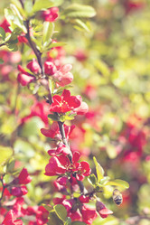 Similar image 13241952