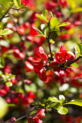 Similar image 13241966