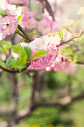 Similar image 13241967