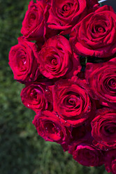 Similar image 13241778