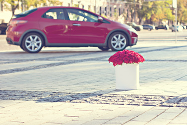 Similar image 13241779