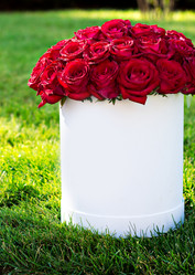 Similar image 13241780