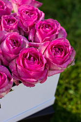 Similar image 13241814