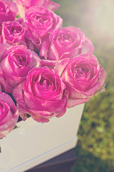 Similar image 13241806