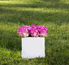 Similar image 13241953