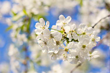 Similar image 13241968