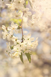 Similar image 13241970