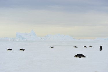 Similar image 13214692