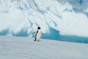 Similar image 13214248