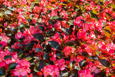 Similar image 13237497