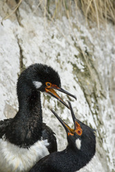 Similar image 13214358