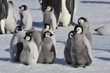 Similar image 13214413